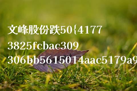 文峰股份跌50%怎么办_https://wap.lxcailiao.com_财务管理_第1张