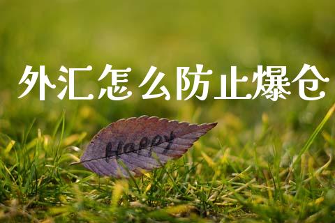 外汇怎么防止爆仓_https://wap.lxcailiao.com_金融监管_第1张