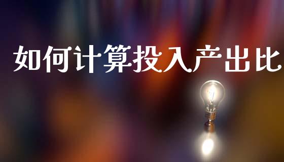 如何计算投入产出比_https://wap.lxcailiao.com_财务管理_第1张