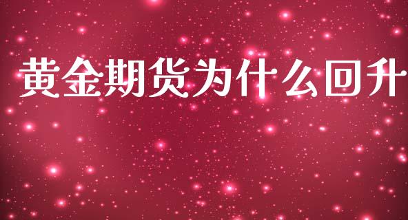 黄金期货为什么回升_https://wap.lxcailiao.com_融资担保_第1张