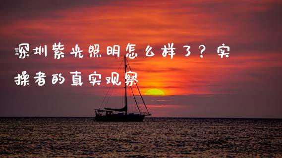 深圳紫光照明怎么样了？实操者的真实观察_https://wap.lxcailiao.com_融资担保_第1张
