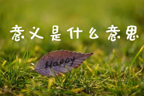 意义是什么意思_https://wap.lxcailiao.com_融资担保_第1张