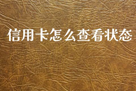 信用卡怎么查看状态_https://wap.lxcailiao.com_金融监管_第1张