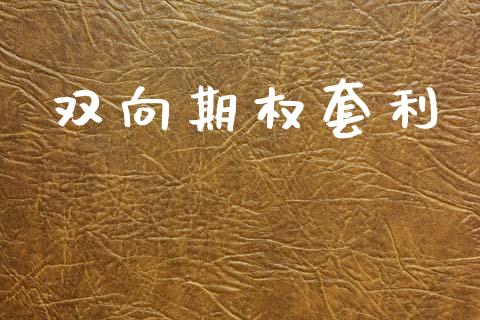 双向期权套利_https://wap.lxcailiao.com_融资担保_第1张