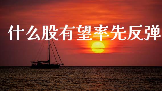 什么股有望率先反弹_https://wap.lxcailiao.com_财务管理_第1张