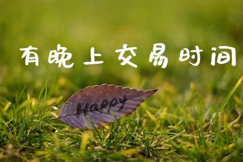 有晚上交易时间_https://wap.lxcailiao.com_金融监管_第1张