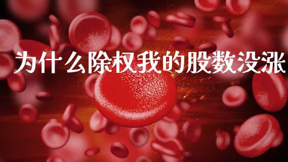 为什么除权我的股数没涨_https://wap.lxcailiao.com_股权投资_第1张