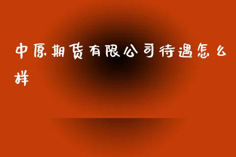 中原期货有限公司待遇怎么样_https://wap.lxcailiao.com_金融监管_第1张