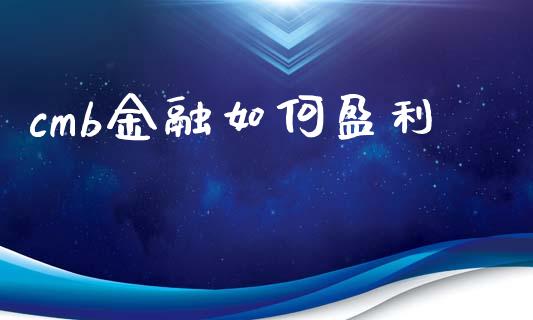 cmb金融如何盈利_https://wap.lxcailiao.com_金融监管_第1张