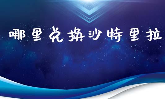 哪里兑换沙特里拉_https://wap.lxcailiao.com_财务管理_第1张