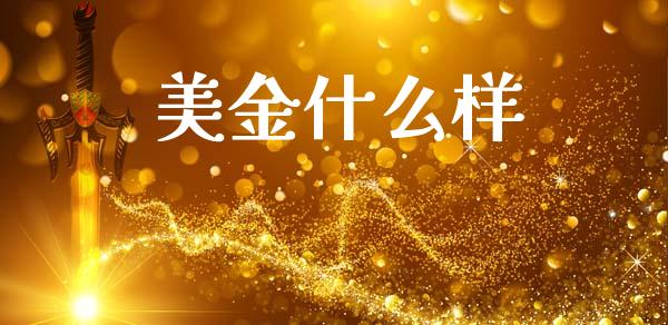 美金什么样_https://wap.lxcailiao.com_融资担保_第1张