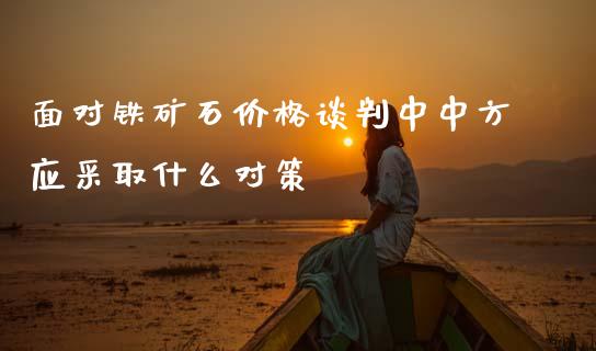面对铁矿石价格谈判中中方应采取什么对策_https://wap.lxcailiao.com_股权投资_第1张