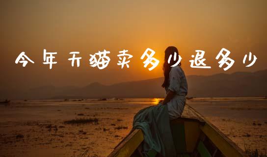今年天猫卖多少退多少_https://wap.lxcailiao.com_财务管理_第1张