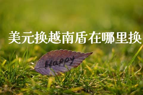 美元换越南盾在哪里换_https://wap.lxcailiao.com_财务管理_第1张