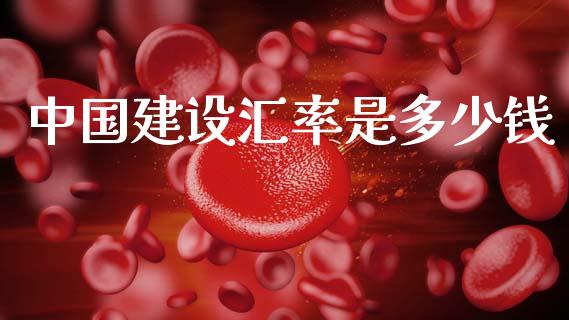 中国建设汇率是多少钱_https://wap.lxcailiao.com_融资担保_第1张