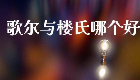 歌尔与楼氏哪个好_https://wap.lxcailiao.com_融资担保_第1张