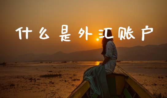 什么是外汇账户_https://wap.lxcailiao.com_融资担保_第1张