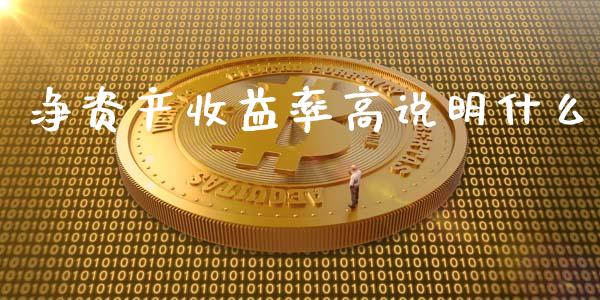净资产收益率高说明什么_https://wap.lxcailiao.com_金融监管_第1张