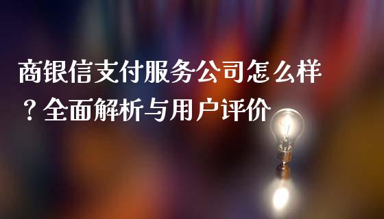 商银信支付服务公司怎么样？全面解析与用户评价_https://wap.lxcailiao.com_融资担保_第1张
