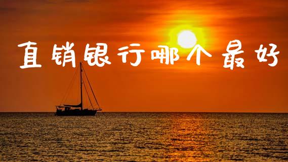 直销银行哪个最好_https://wap.lxcailiao.com_财务管理_第1张