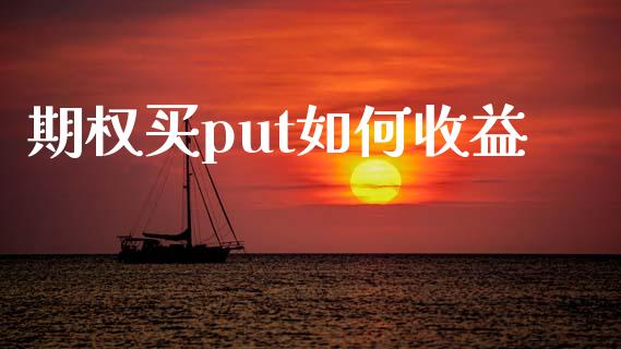 期权买put如何收益_https://wap.lxcailiao.com_财务管理_第1张