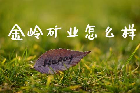 金岭矿业怎么样_https://wap.lxcailiao.com_股权投资_第1张
