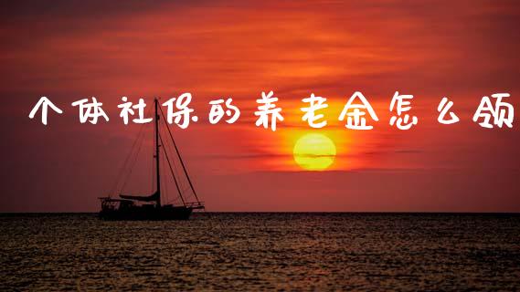 个体社保的养老金怎么领_https://wap.lxcailiao.com_融资担保_第1张