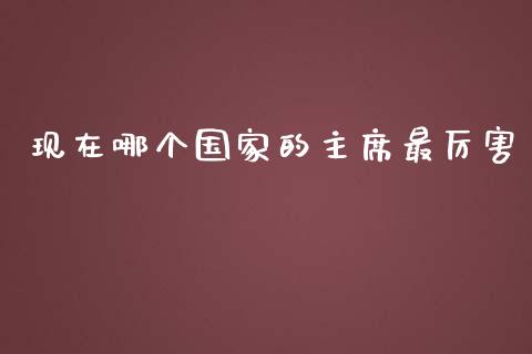 现在哪个国家的主席最厉害_https://wap.lxcailiao.com_融资担保_第1张