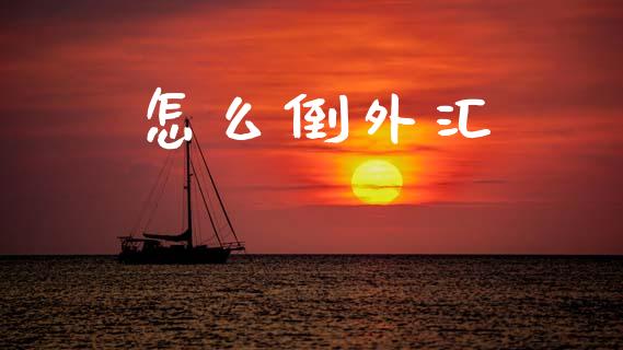 怎么倒外汇_https://wap.lxcailiao.com_融资担保_第1张
