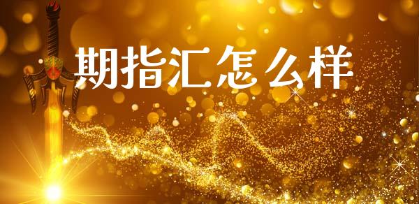期指汇怎么样_https://wap.lxcailiao.com_融资担保_第1张
