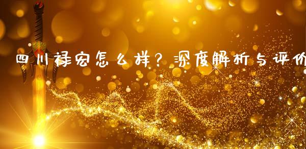 四川禄宏怎么样？深度解析与评价_https://wap.lxcailiao.com_融资担保_第1张