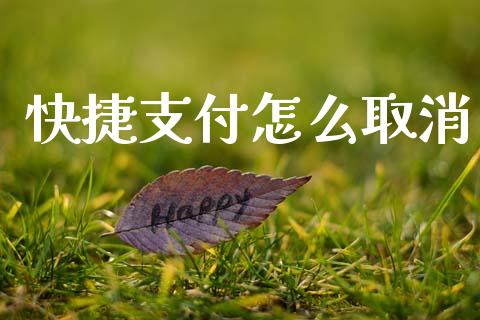 快捷支付怎么取消_https://wap.lxcailiao.com_股权投资_第1张