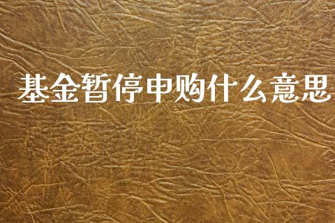 基金暂停申购什么意思_https://wap.lxcailiao.com_融资担保_第1张