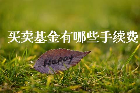 买卖基金有哪些手续费_https://wap.lxcailiao.com_财务管理_第1张