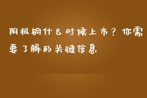 阴极铜什么时候上市？你需要了解的关键信息_https://wap.lxcailiao.com_股权投资_第1张