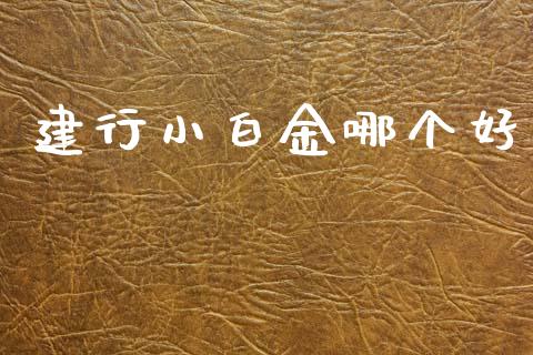 建行小白金哪个好_https://wap.lxcailiao.com_金融监管_第1张