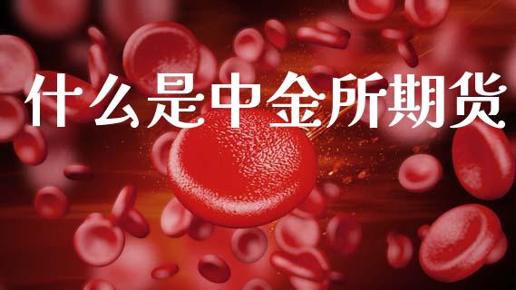 什么是中金所期货_https://wap.lxcailiao.com_股权投资_第1张