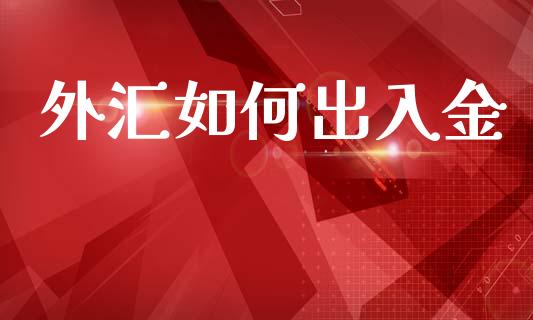 外汇如何出入金_https://wap.lxcailiao.com_融资担保_第1张