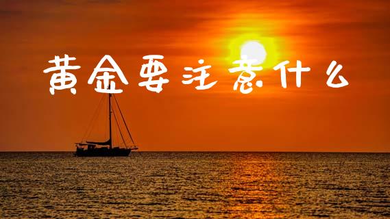黄金要注意什么_https://wap.lxcailiao.com_财务管理_第1张