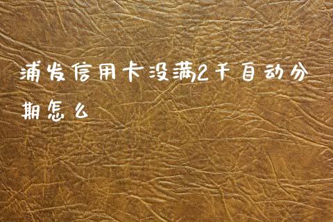 浦发信用卡没满2千自动分期怎么_https://wap.lxcailiao.com_融资担保_第1张
