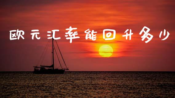 欧元汇率能回升多少_https://wap.lxcailiao.com_融资担保_第1张