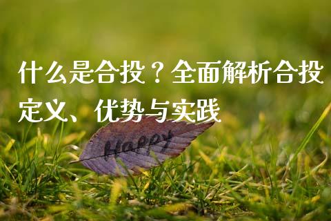 什么是合投？全面解析合投定义、优势与实践_https://wap.lxcailiao.com_融资担保_第1张