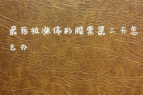 最后拉涨停的股票第二天怎么办_https://wap.lxcailiao.com_股权投资_第1张