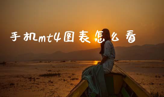 手机mt4图表怎么看_https://wap.lxcailiao.com_金融监管_第1张