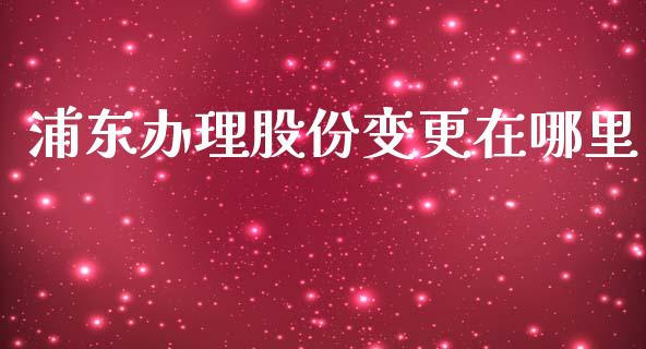 浦东办理股份变更在哪里_https://wap.lxcailiao.com_金融监管_第1张