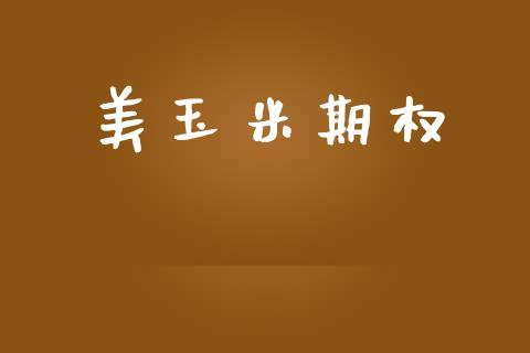 美玉米期权_https://wap.lxcailiao.com_财务管理_第1张