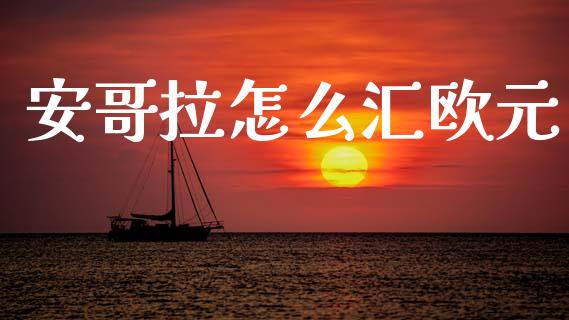 安哥拉怎么汇欧元_https://wap.lxcailiao.com_融资担保_第1张