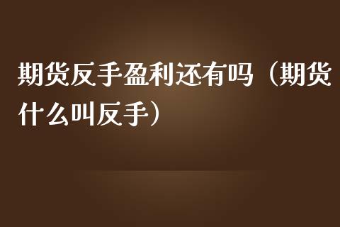 期货反手盈利还有吗（期货什么叫反手）_https://wap.lxcailiao.com_金融监管_第1张