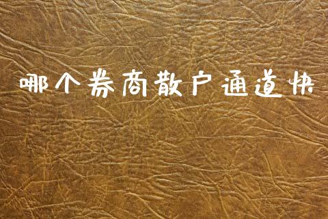 哪个券商散户通道快_https://wap.lxcailiao.com_财务管理_第1张