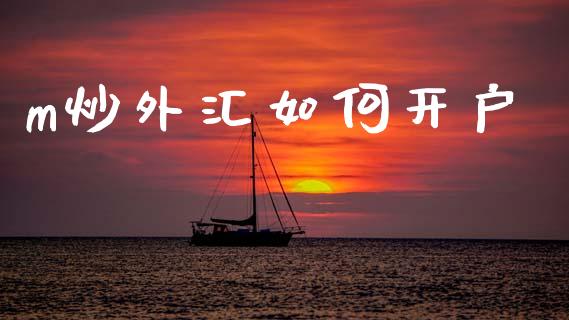 m炒外汇如何开户_https://wap.lxcailiao.com_财务管理_第1张